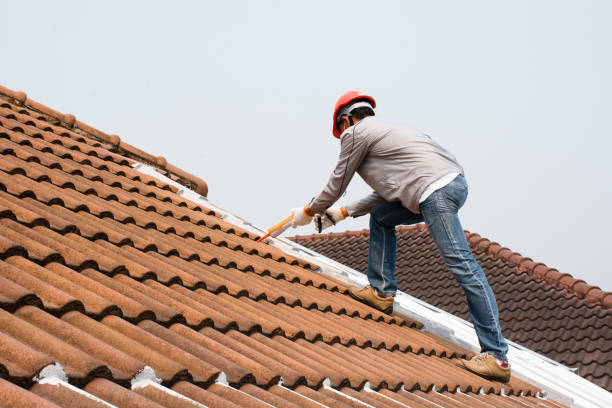 Best Slate Roofing  in Valley Forge, TN